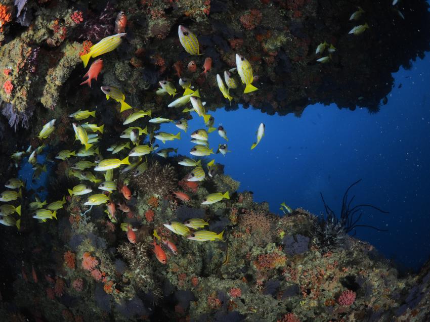 Euro-Divers Meeru, Malediven