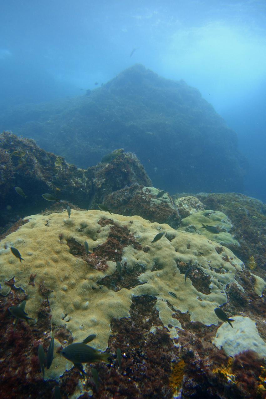 Kapverden, Cabo Verde, Haliotis Dive Center, Mindelo, Kap Verde