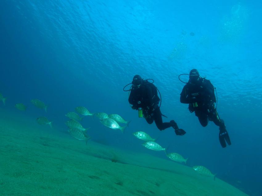 Euro-Divers Lanzarote, Puerto del Carmen, Spanien, Kanaren (Kanarische Inseln)