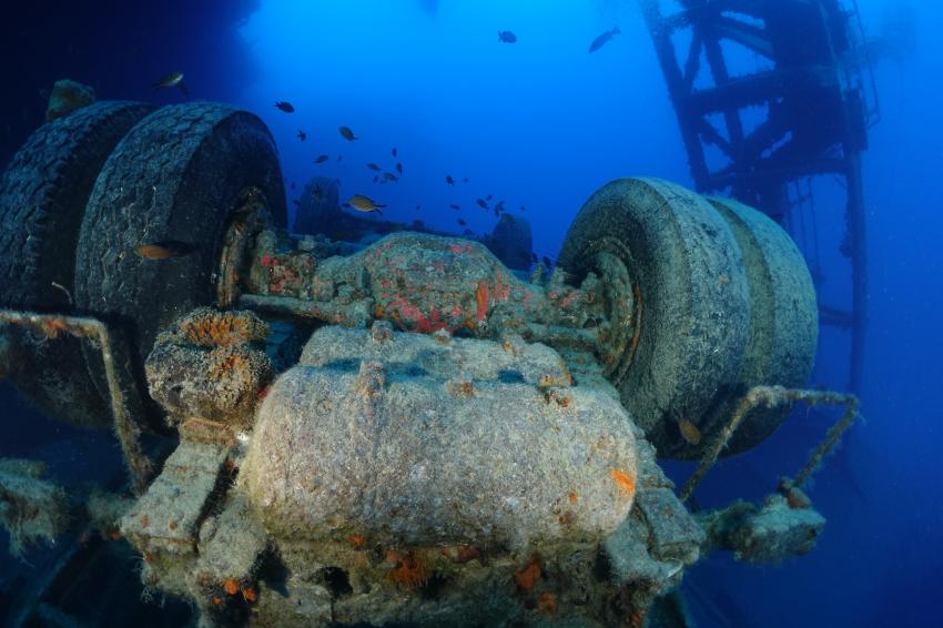 Cyprus Diving Centre, PADI 5 Star IDC, Pernera, Zypern, Zenobia Cyprus Diving Centre, PADI 5 Star IDC, Pernera, Zypern, Zenobia