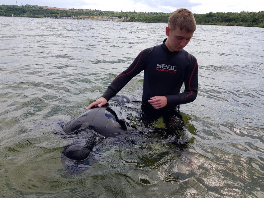 Freediving, DiveBeach Tauchschule, Deutschland, Niedersachsen