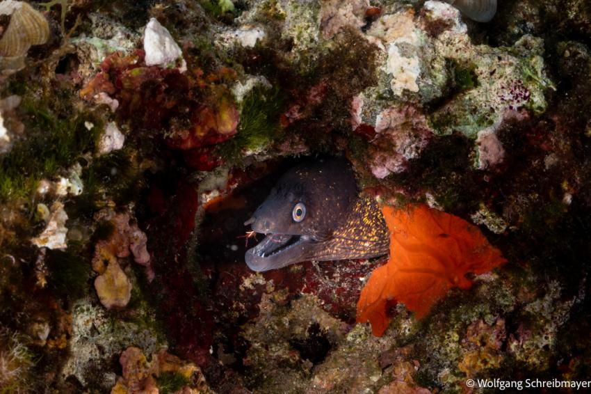 Punta Diving, Betina, Kroatien