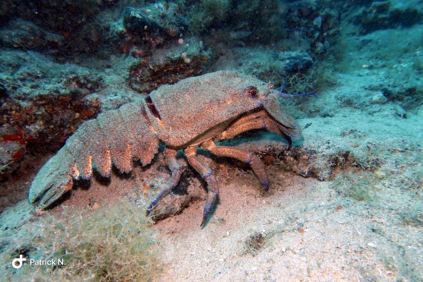 Fuerteventura Buceo Jandia, Fuerteventura Buceo Jandia, Fuerteventura Buceo Diving Center,  Jandia, Spanien, Kanaren (Kanarische Inseln)