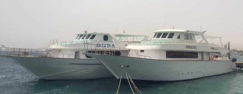 Tagestourenboote ONDA & PHOENIX, Boote, Tagestouren, Ducks Diving Safaga, Ägypten, Safaga