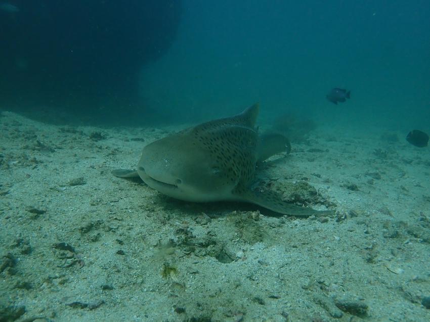 SeaOman, Al Mouj Marina, Muscat, Oman