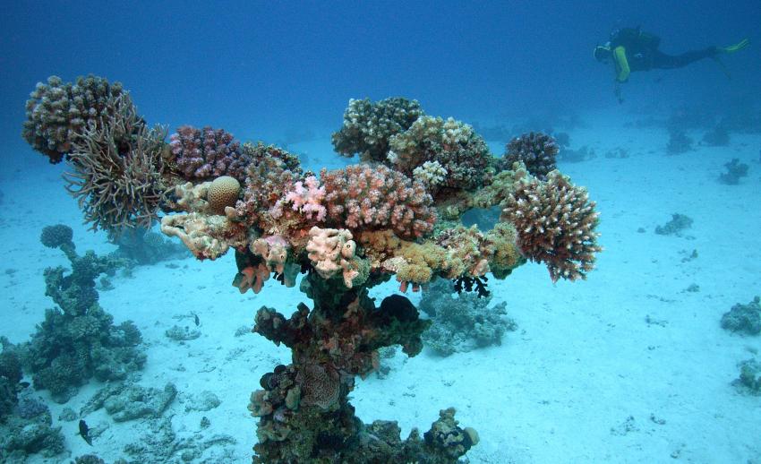 Safaga 01/2011 Teil 4, Safaga - allgemein,Ägypten