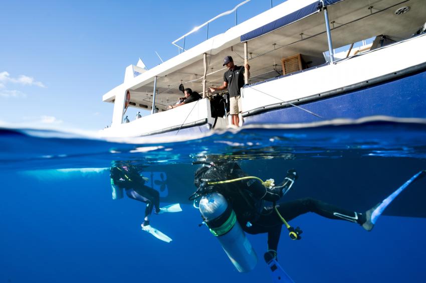 Dive Dhoni, Scubaspa Maldives, Malediven