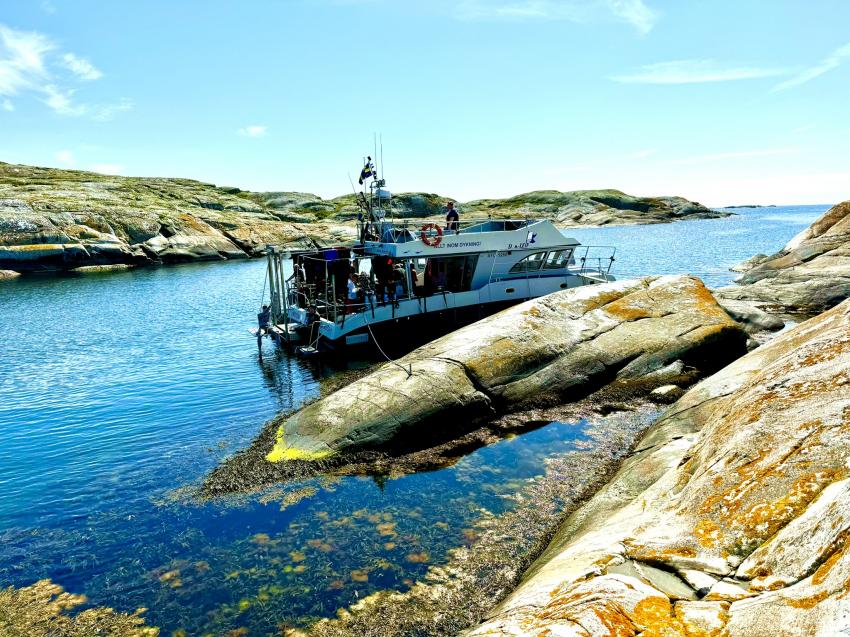 Dyk-Leif Dive Resort, Hamburgsund, Schweden