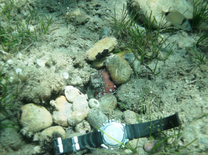 Halkidiki - Athos, Halkidiki - Athos,Griechenland