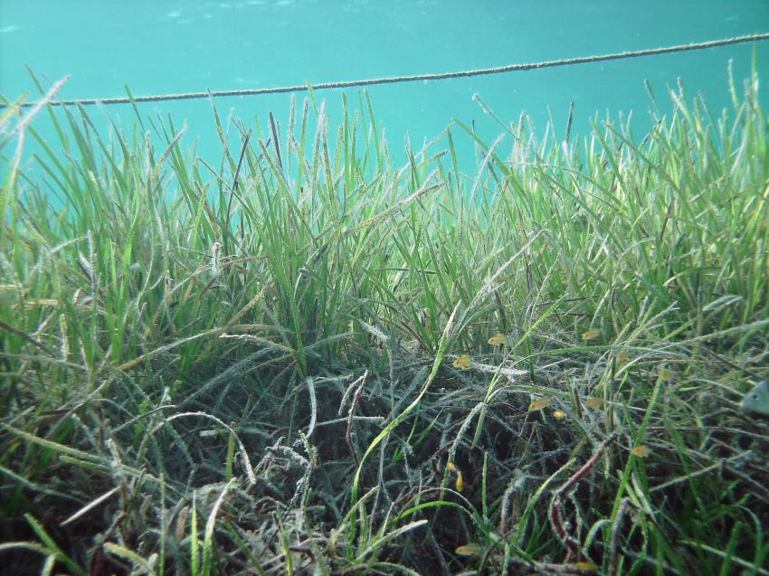 Halkidiki - Athos, Halkidiki - Athos,Griechenland