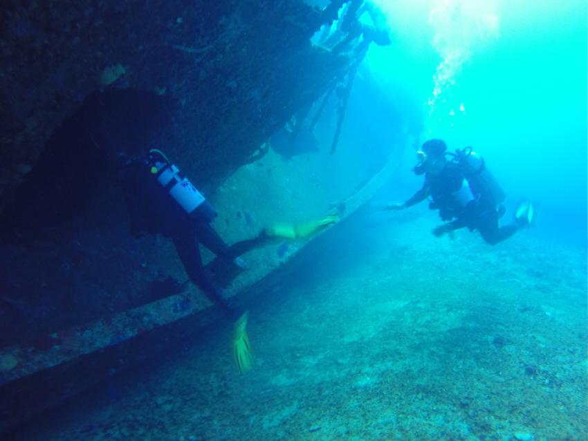Catuan Wreck, , Caribbean Divers, Boca Chica, Dominikanische Republik