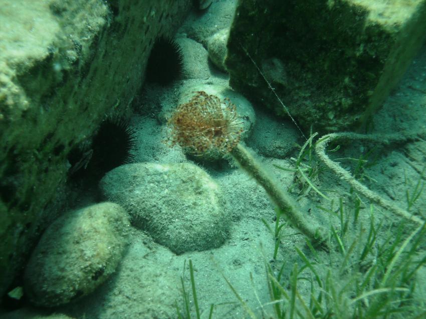 Halkidiki - Athos, Halkidiki - Athos,Griechenland