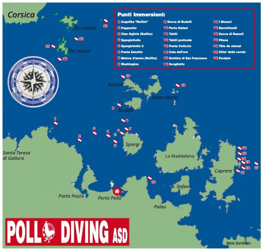 unsere Tauchspots, Pollo Diving Asd, Italien, Sardinien