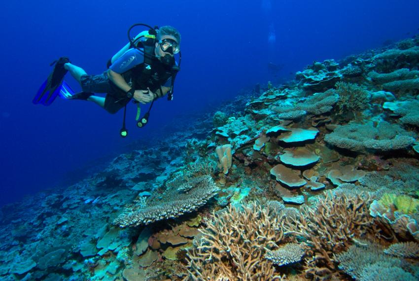 Yap (Unterwasser), Yap allgemein,Yap,Mikronesien