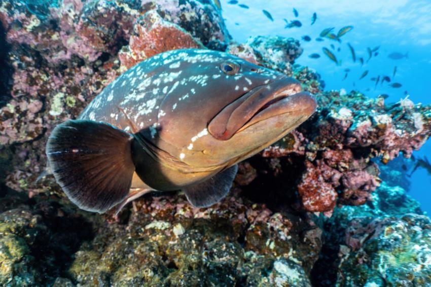 Water & Wind, Portugal, Azoren