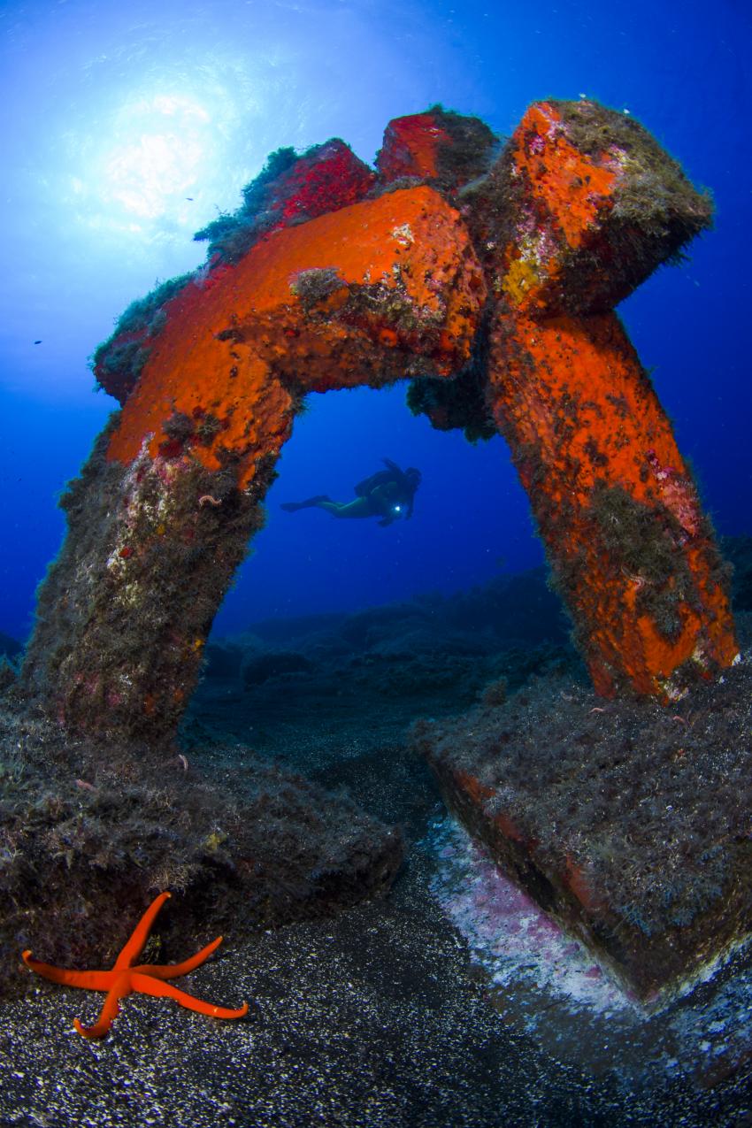 Malpique - die Kreuze, Malpique, Kreuze, Punkfish Diving La Palma, Spanien, Kanaren (Kanarische Inseln)