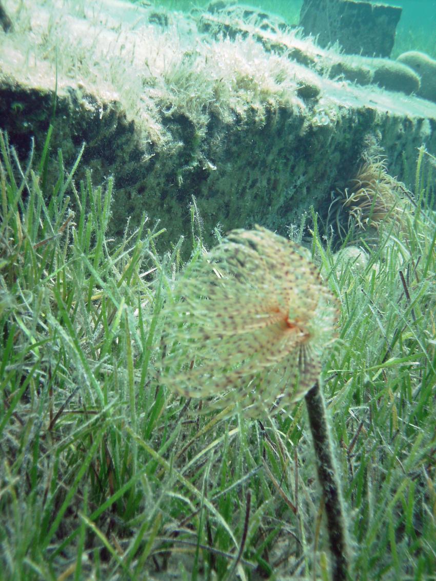 Halkidiki - Athos, Halkidiki - Athos,Griechenland