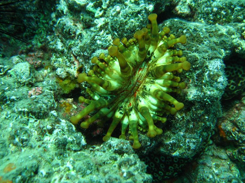 Fuerteventura Chupadero bis Captain´s Reef, Fuerteventura - Chupadero Nord,Spanien