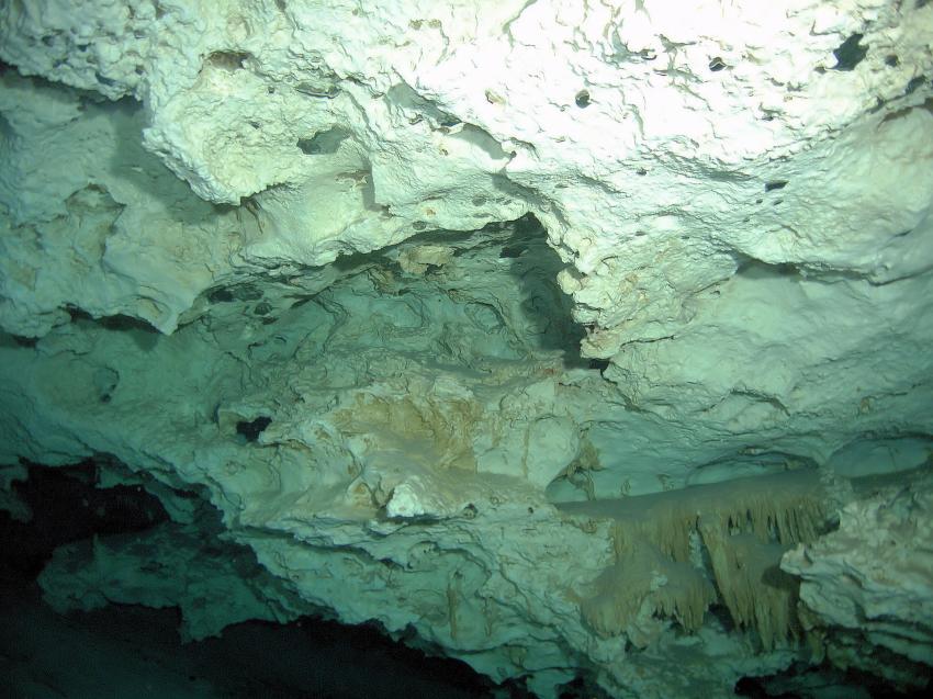 Cenote Bat-Cave (DosOjos), Cenote Dos Ojos (Bat-Cave),Mexiko