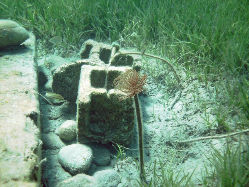 Halkidiki - Athos, Halkidiki - Athos,Griechenland