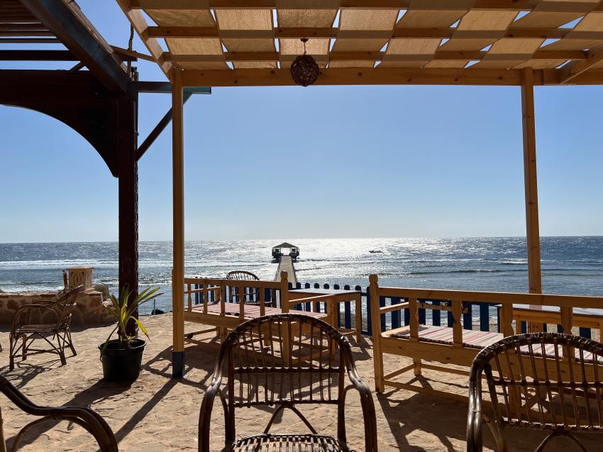 Ducks Diving Quesier at Rohanou Beach Resort, Ägypten, El Quseir bis Port Ghalib