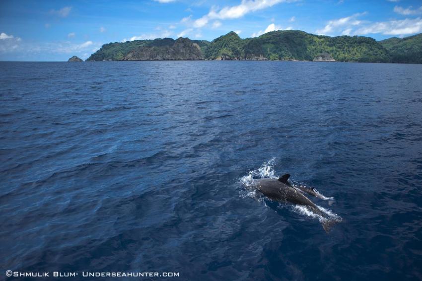 Undersea Hunter Group, Cocos Islands, Undersea Hunter, Costa Rica