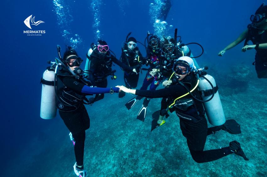 MALAYSIA DIVING TRIP, mermates.club, Saudi-Arabien