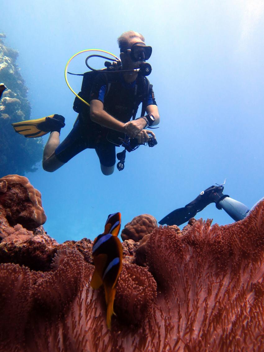 TGI Diving Gorgonia Beach Resort, Marsa Alam, Ägypten, Marsa Alam und südlich