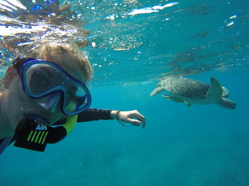Auch beim Schnorcheln wird man belohnt, TGI Diving Gorgonia Beach Resort, Marsa Alam, Ägypten, Marsa Alam und südlich