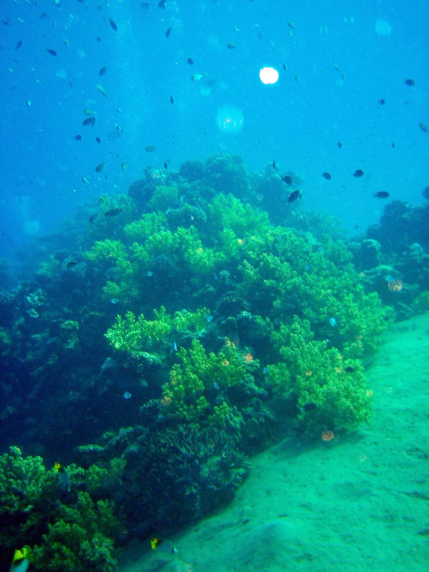 Na´ama Bay, Naama Bay (Sharm El Sheikh),Ägypten