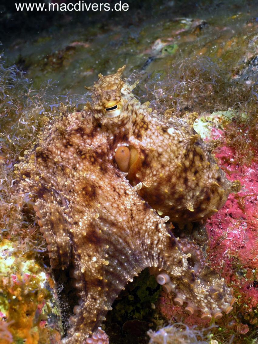 El Hierro, El Hierro,Spanien