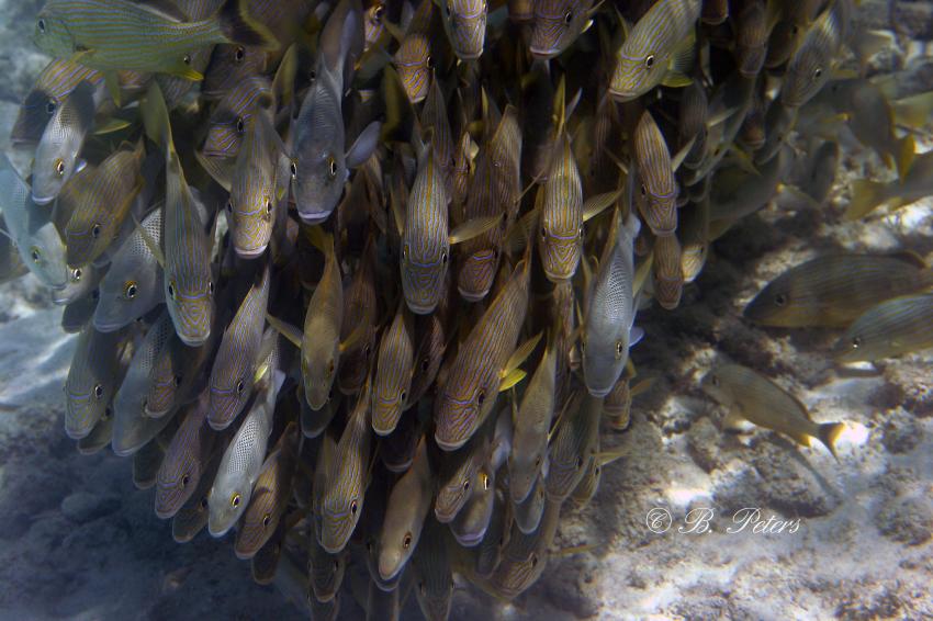 Trinidad, Trinidad,Playa Ancon,Kuba