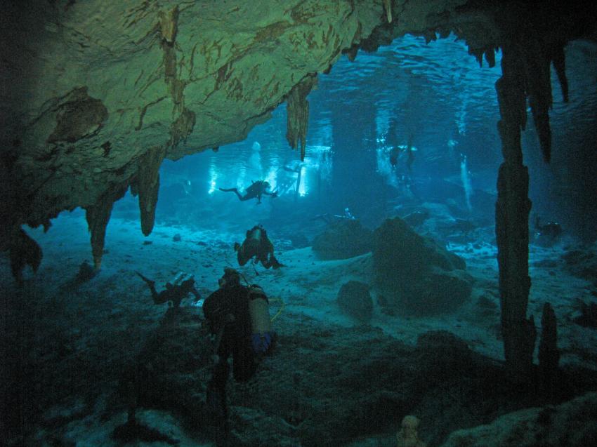 Cenotes, Cenoten gemischt (Cenoten Playa del Carmen,Tulum und Meer),Mexiko,Cenotes,höhle,stalaktiten,stalagmiten,höhlentauchen,glasklar