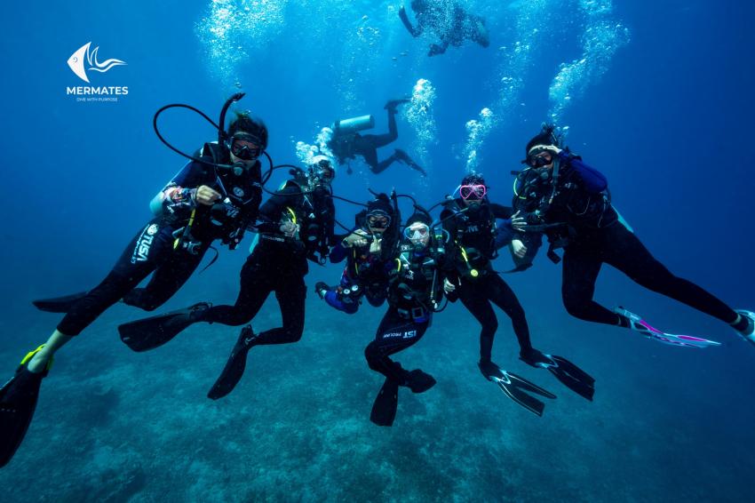 MALAYSIA DIVING TRIP, mermates.club, Arabdivers, Jeddah, Saudi-Arabien