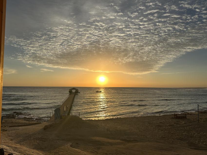 Ducks Diving Quesier at Rohanou Beach Resort, Ägypten, El Quseir bis Port Ghalib