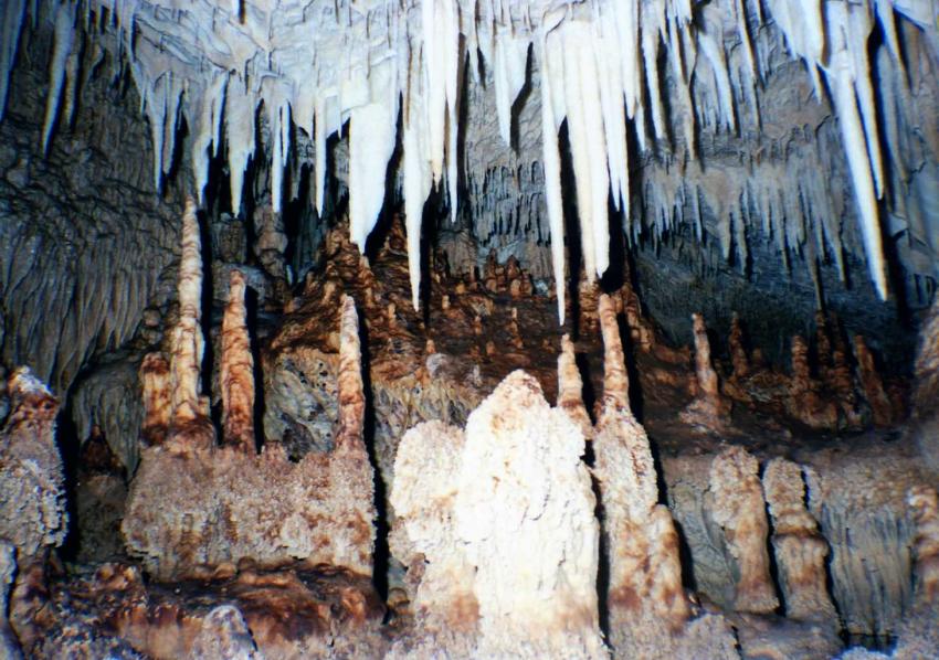 Höhle La Sirena / Boca Chica, Boca Chica,Dominikanische Republik,Stalaktiten,Stalagmiten,Tropfsteinhöhle,Höhlen tauchen