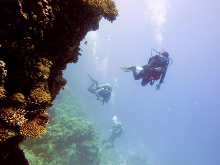 Extra Divers - Makadi Bay, Ägypten, Safaga