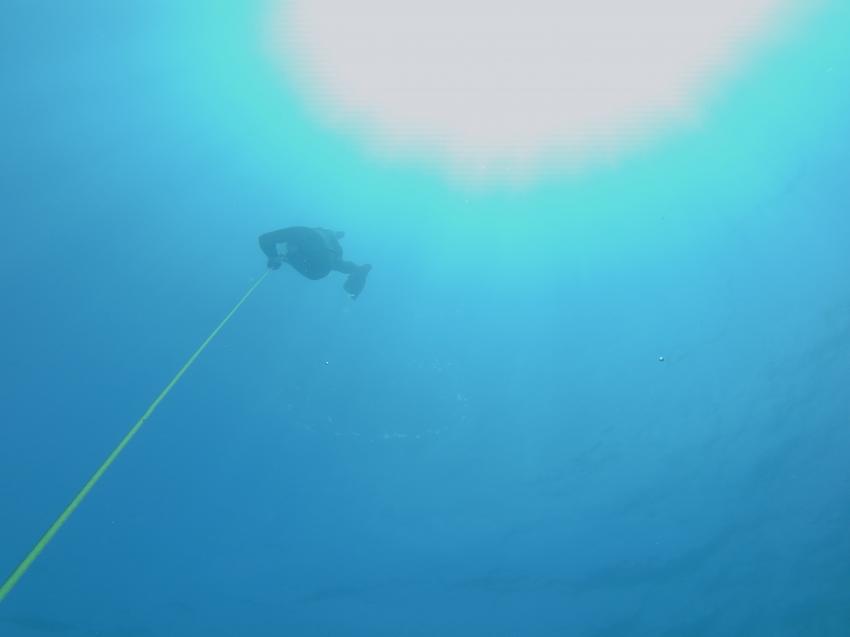 Blackstone Dive Center, Teneriffa, Spanien, Kanaren (Kanarische Inseln)
