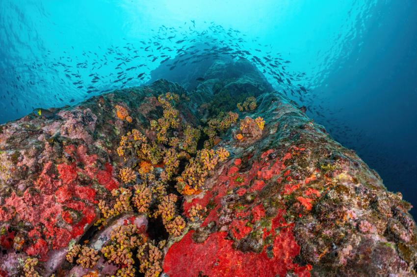 Dive São Tomé, Sao Tome und Principe
