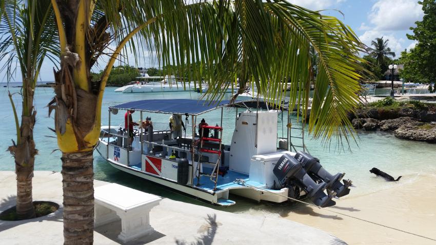 Ultra Marine Divers, Punta Cana, Dominikanische Republik