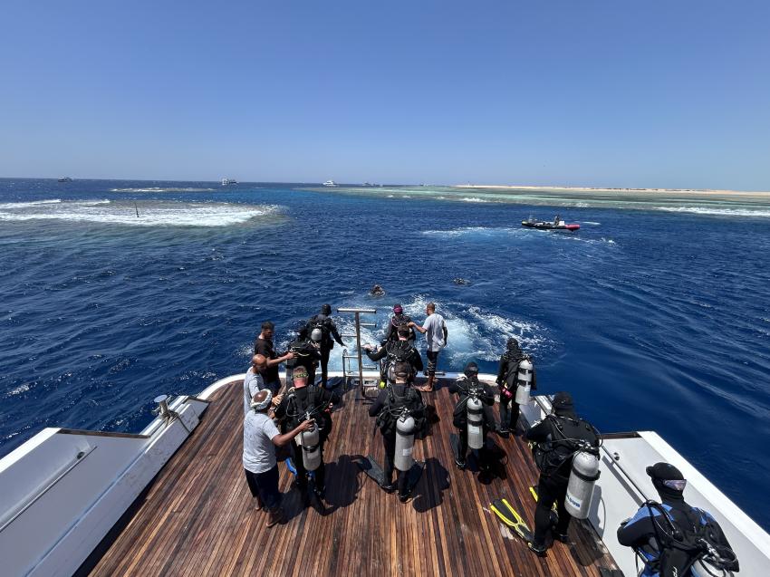 Tauchplattform, Alsuraya Liveaboard, Ägypten, Hurghada