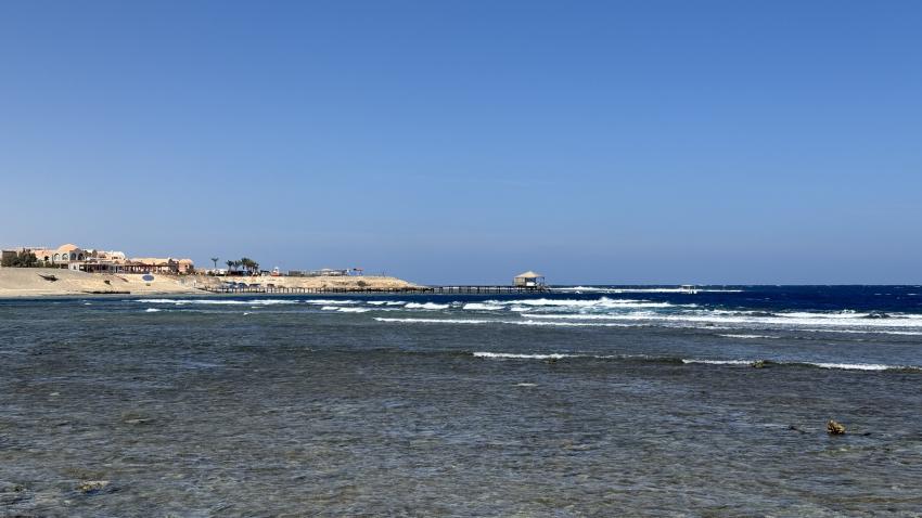 Ducks Diving Quesier at Rohanou Beach Resort, Ägypten, El Quseir bis Port Ghalib