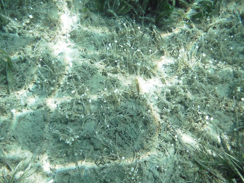 Halkidiki - Athos, Halkidiki - Athos,Griechenland