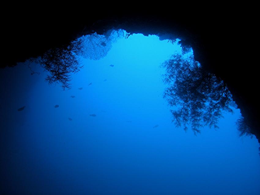 Blue Hole und New Drop Off, Blue Hole und New Drop Off,Palau,Blue Hole,torbogen,öffnung,tor,freiwasser,tief
