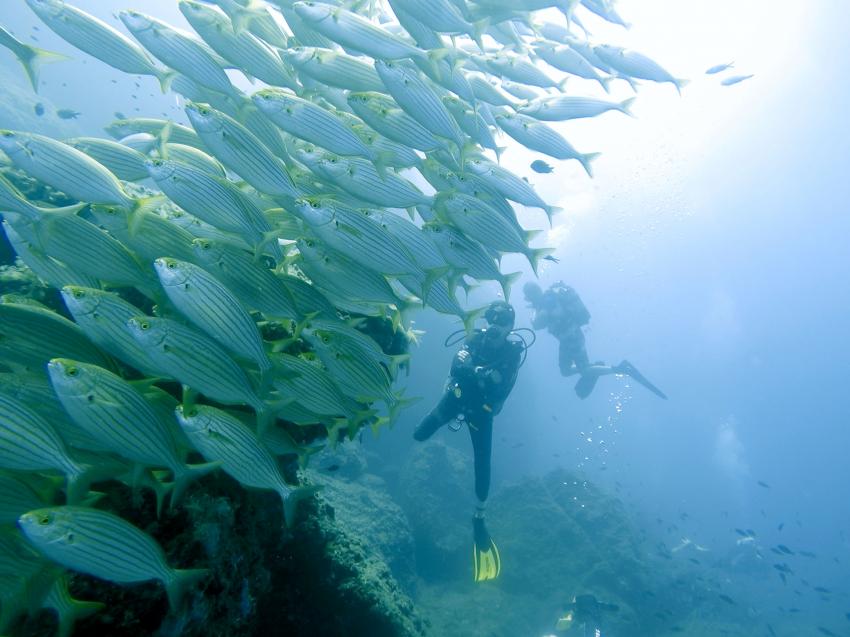 Diving Center, Cala Pada, Ibiza, Spanien, Balearen