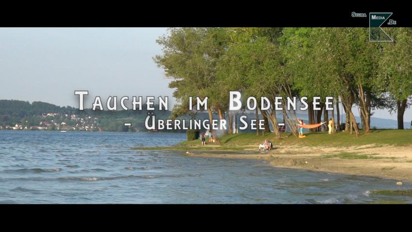 Tauchen im Überlinger See, Überlinger See, Wallhausen, Überlingen, Dingelsdorf, Bodman, Bodman-Ludwigshafen, Bodensee, Überlinger See, Deutschland, Baden Württemberg