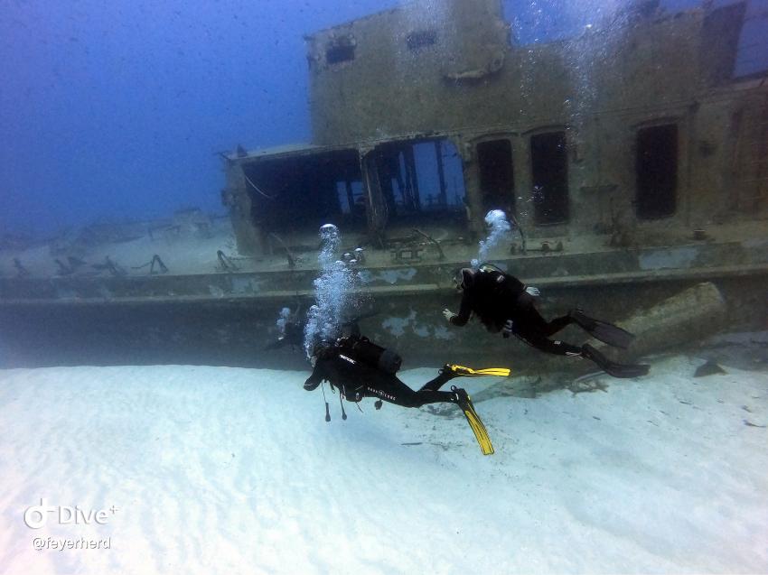 P31, Side, Dive Vision Malta, Labranda Riviera Hotel, Malta, Malta - Hauptinsel