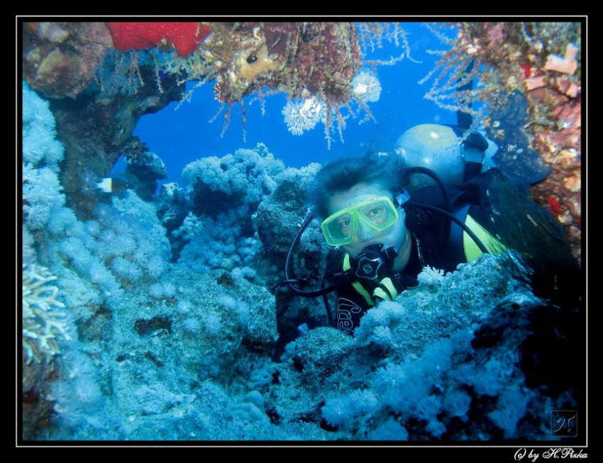 Taucher im Korallenriff
