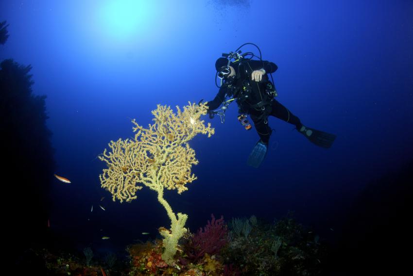 La Perla Nera Diving  Ustica, Italien