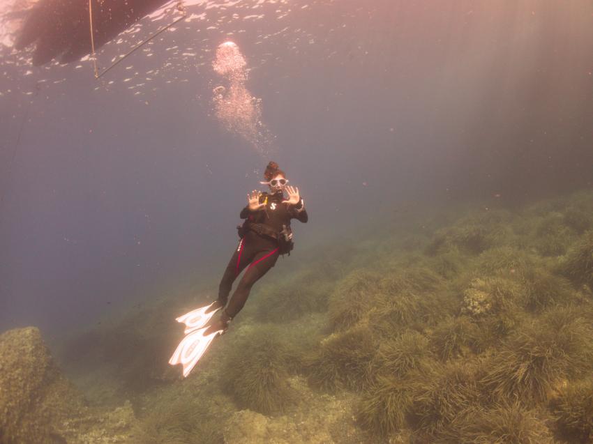 Mallorca Diving Adventure, Puerto de Andratx, Spanien, Balearen